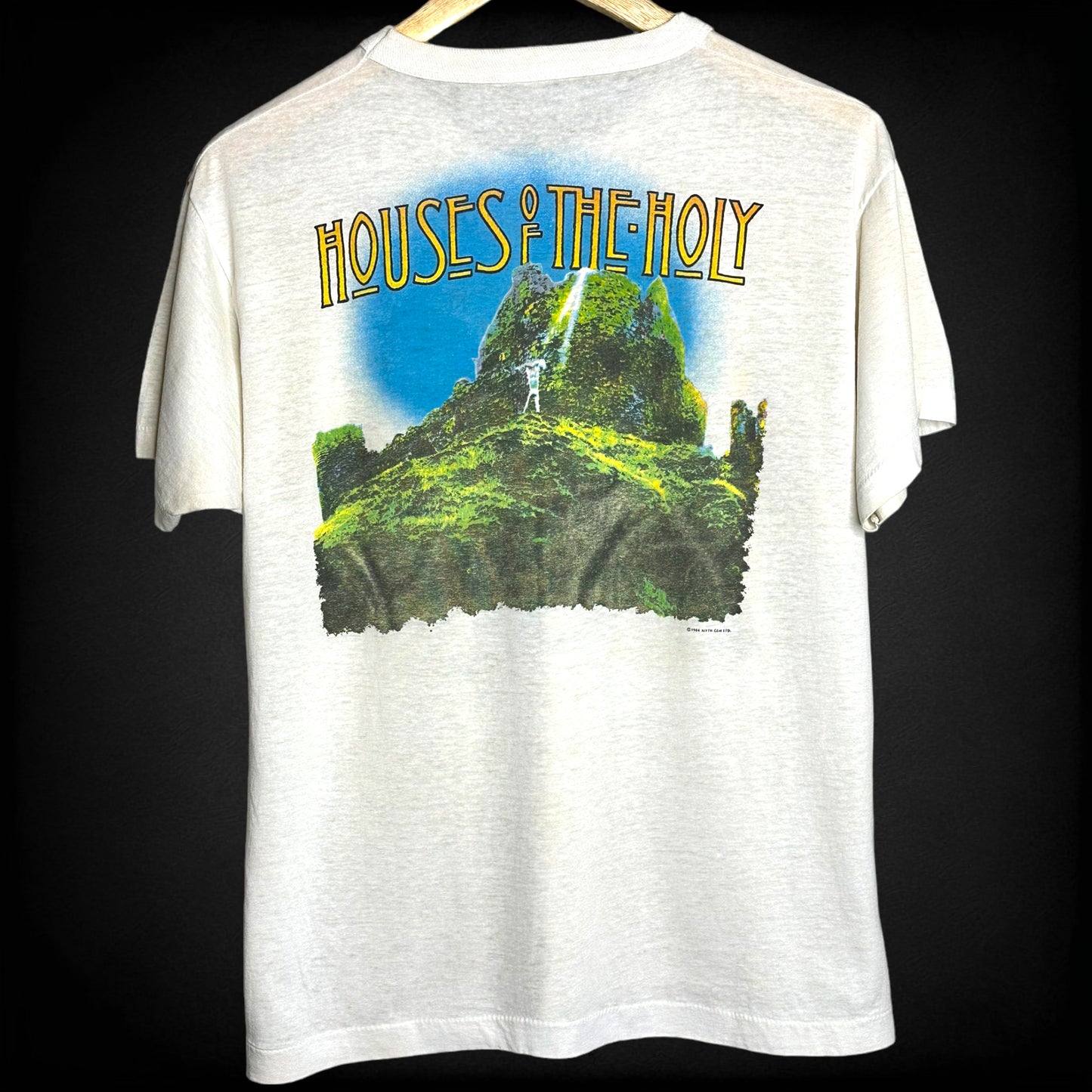 Vintage 1984 Led Zeppelin Houses of The Holy T-Shirt L
