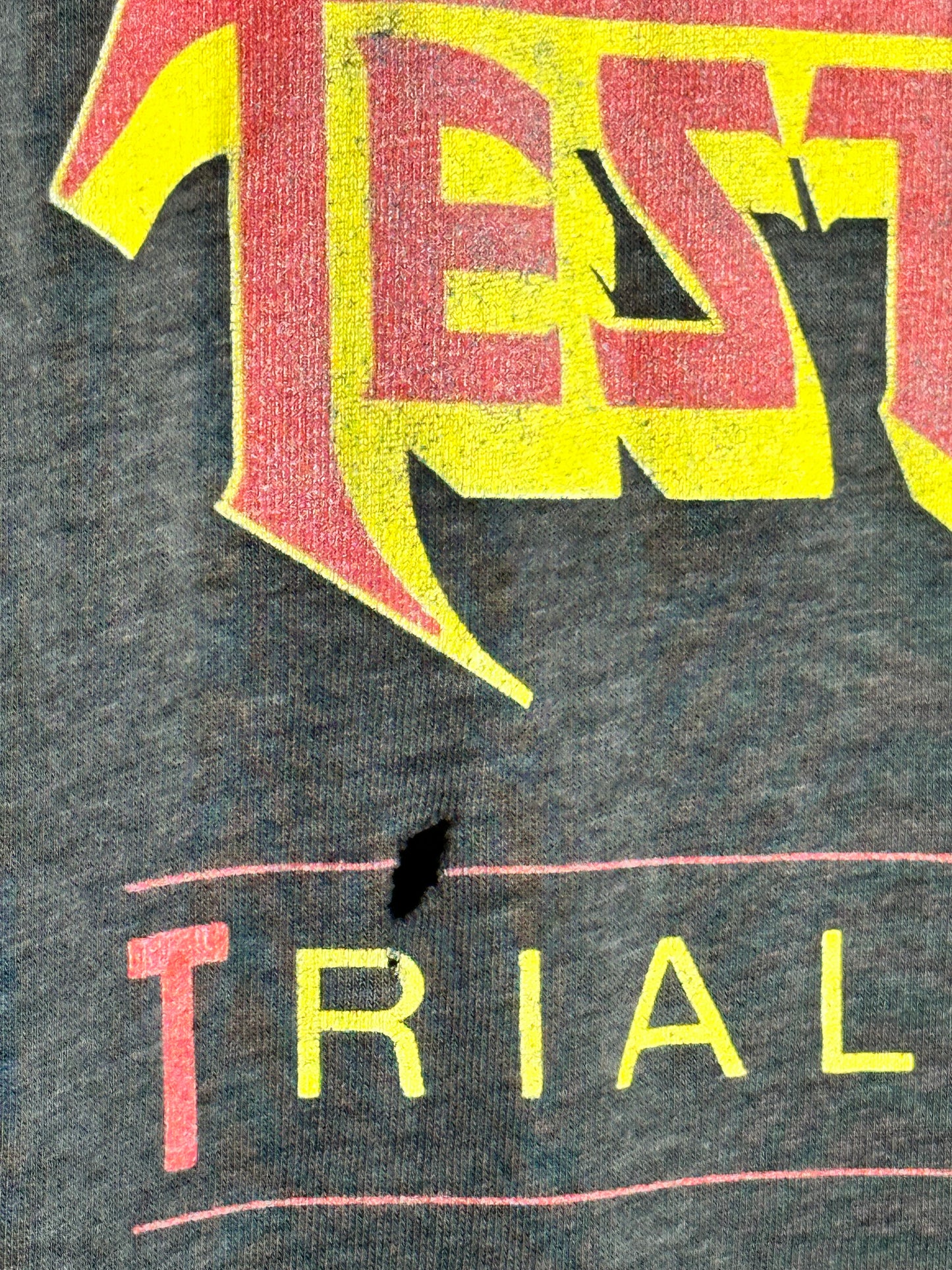 Vintage 1988 TESTAMENT Trial By Fire t-shirt L