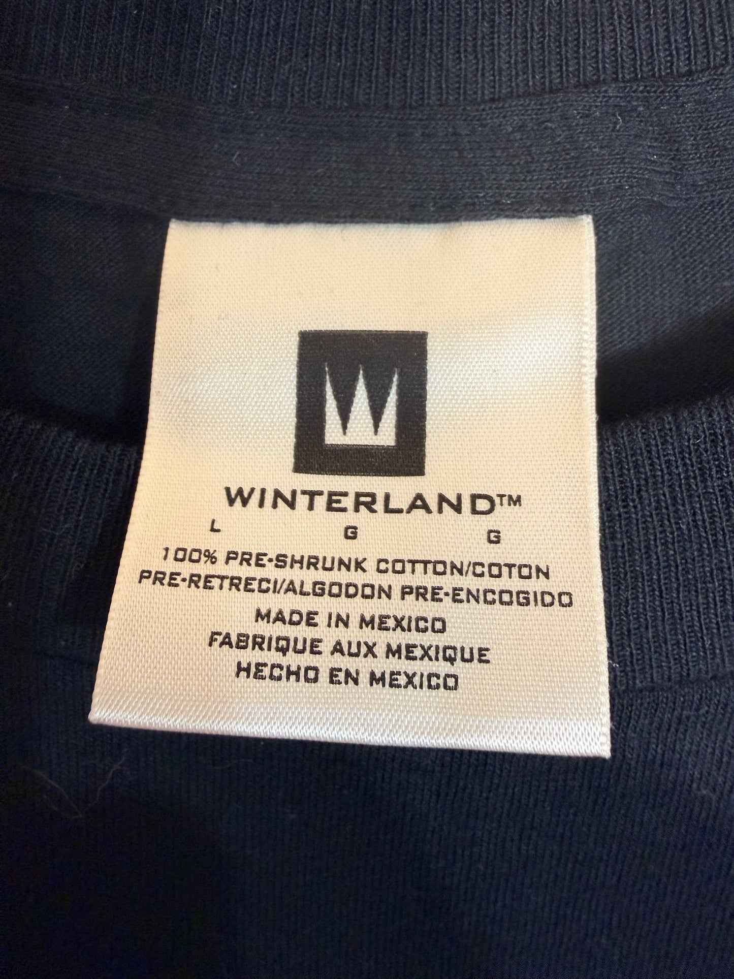 Vintage 1999 Backstreet Boys T-Shirt L